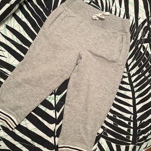 SPRING 🌿 JANIE and JACK Sweatpants Size 2T